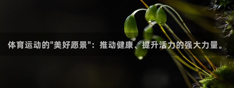 米兰体育官网