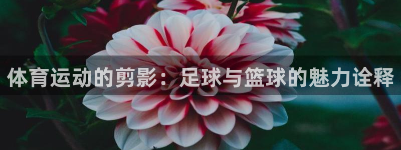 米兰体育怎么样