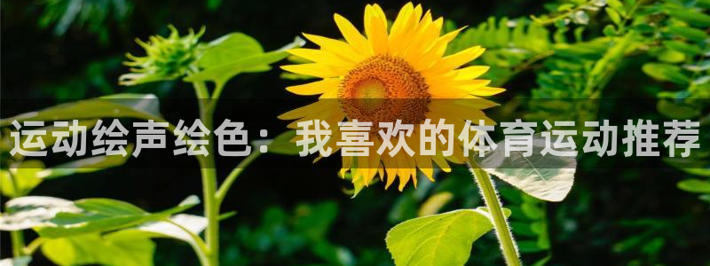 米兰体育