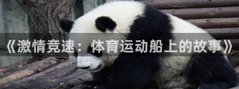 米兰体育最新版下载