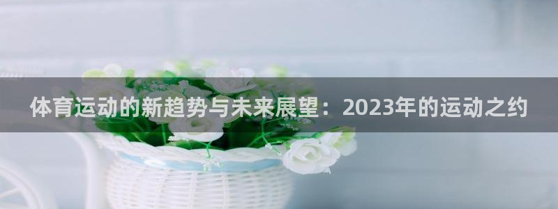 米兰体育网页版