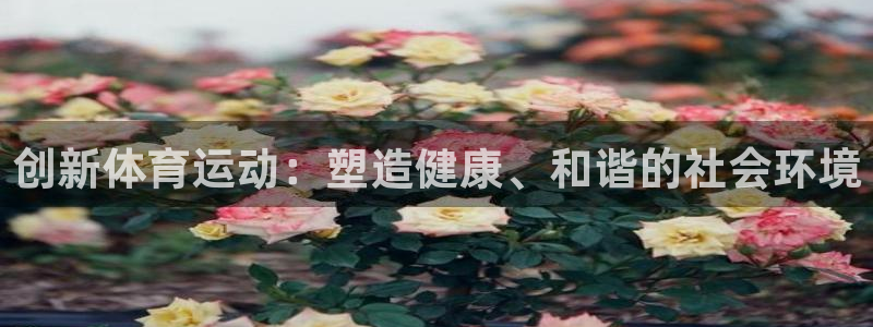 米兰体育场